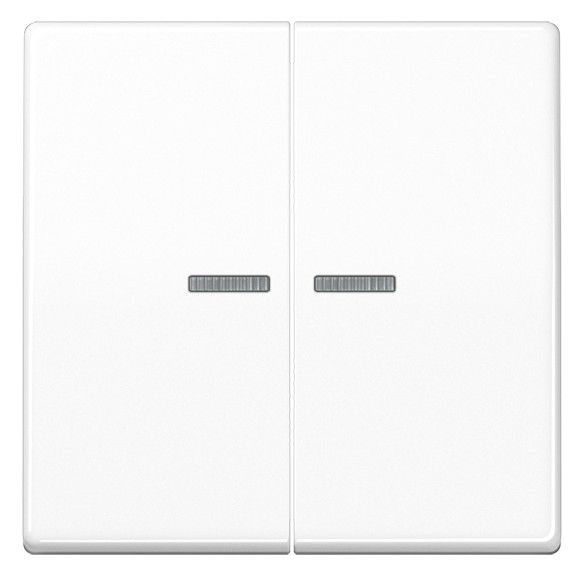 Jung BTAS17102WW JUNG HOME Taster 2fach Weiß (WW = Weiß)