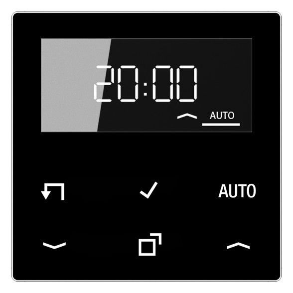 Jung A1750DSW Timer Standard m.Display