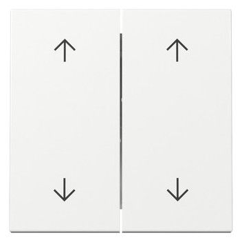 GIRA 329703 Wippe 2fach Pfeile System 55 Reinweiß glänzend