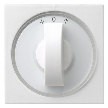 GIRA 066603 Abdeckung Knebel Zeitsch.+ Jalousie System 55 Reinweiß glänzend