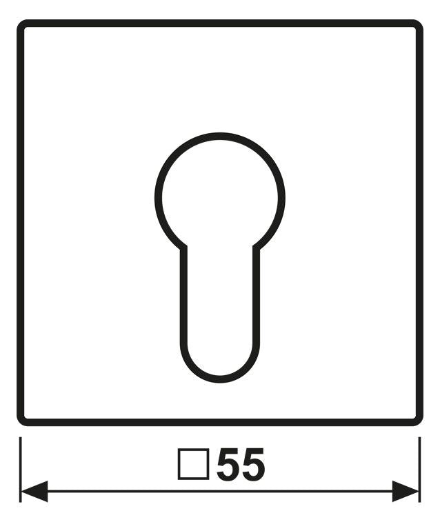 Jung A525PLWW Abdeckung f.Schlüsselschalter Serie A/AS alpinweiß