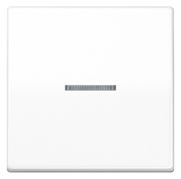 Jung AS101KO5WW Wippe f.Taster KO