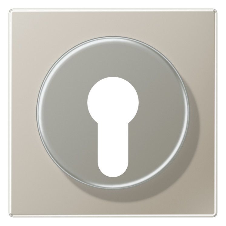 Jung ES2928 Abdeckung f.Schlüsselschalter LS Edelstahl