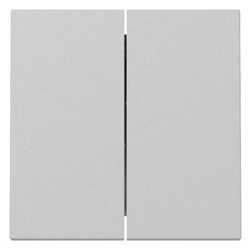 GIRA 3295015 Wippe 2fach System 55 Grau matt (lackiert)