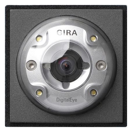 GIRA 126567 Farbkamera Türstation TX_44 WG UP Anthrazit