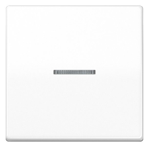 Jung AS591KO5BFWW Wippe Lichtleiter bruchsicher Serie AS alpinweiß