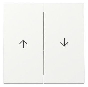 GIRA 329427 Wippe 2fach Pfeil System 55 Reinweiß seidenmatt