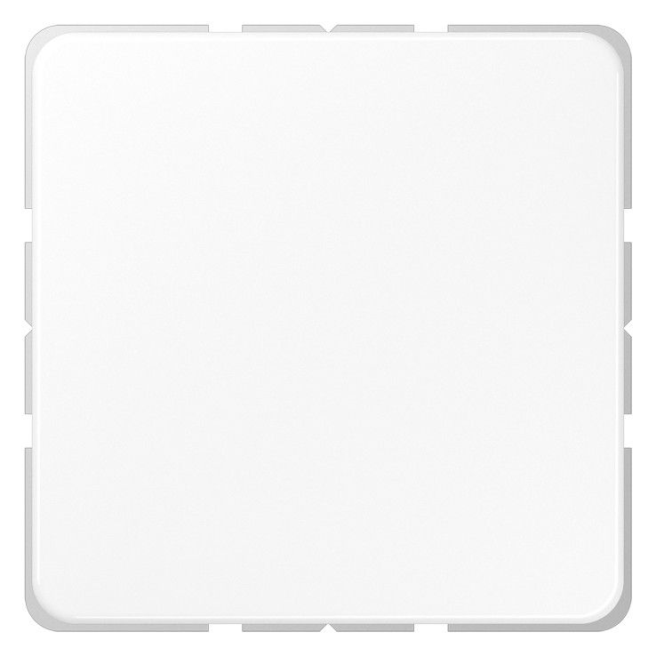 Jung CD594-0WW Blind-Abdeckung m.Tragring verrastet alpinweiß