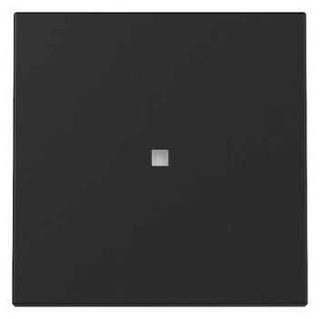 GIRA 3290005 Wippe Kontrollfenster System 55 Schwarz matt (lackiert)