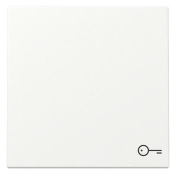 GIRA 328727 Wippe Symbol Tür System 55 Reinweiß seidenmatt