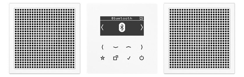 Jung DABLS2BTWW Smart RadioDA