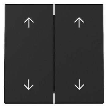 GIRA 3297005 Wippe 2fach Pfeile System 55 Schwarz matt (lackiert)