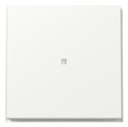 GIRA 329066 Wippe Kontrollfenster TX_44 WG UP Reinweiß