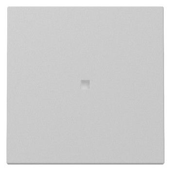 GIRA 3290015 Wippe Kontrollfenster System 55 Grau matt (lackiert)