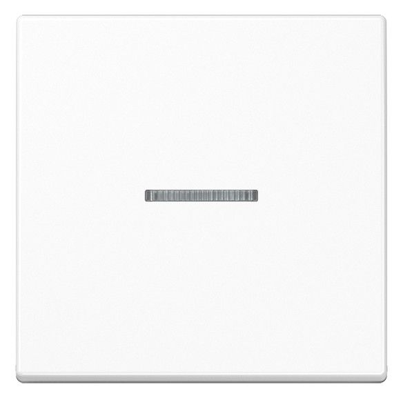 Jung A590BFKO5WW Wippe Lichtleiter Serie A alpinweiß