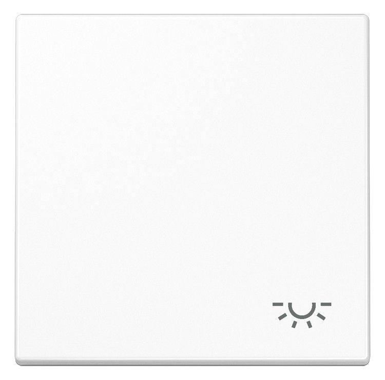 Jung LS990LWW Wippe Symbol Licht alpinweiß