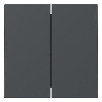 GIRA 329528 Wippe 2fach System 55 Anthrazit