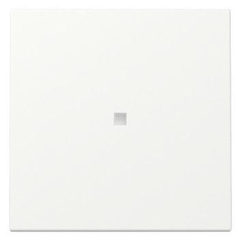 GIRA 329027 Wippe Kontrollfenster System 55 Reinweiß seidenmatt