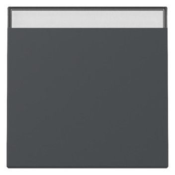 GIRA 329928 Wippe Beschriftungsfeld System 55 Anthrazit