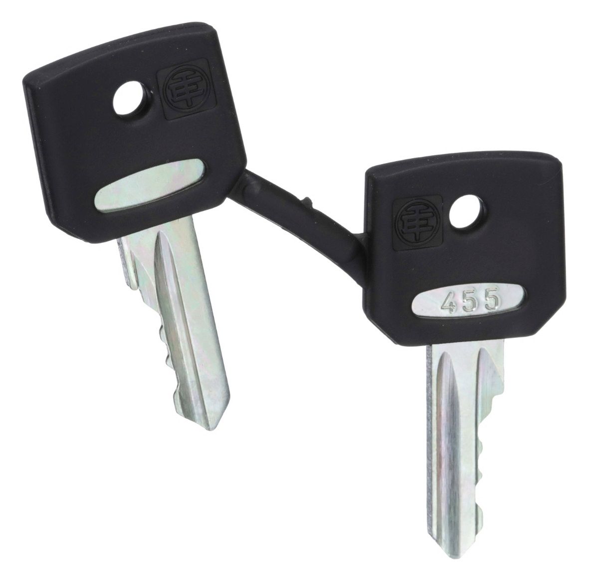 Schneider ZBG455 Ersatzschlüssel f.Schlüsselschalter Nr.455 2Stück