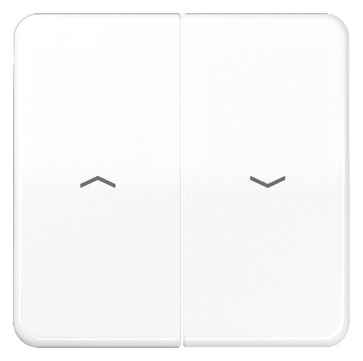 Jung CD595PWW Wippe m.Symbolen Auf/Ab f.509VU/539VU alpinweiß