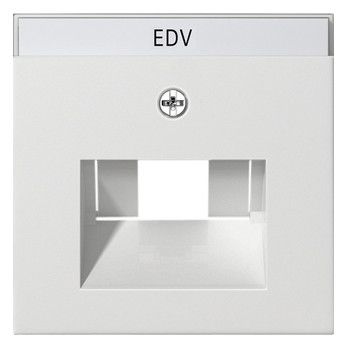 GIRA 028427 Abdeckung+ BSF UAE/IAE+ Netzwerk System 55 Reinweiß seidenmatt