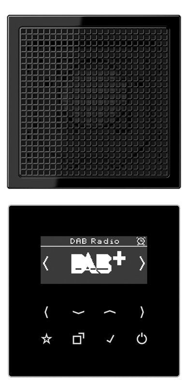 Jung DABLS1SW Smart Radio DAB+Set Mono
