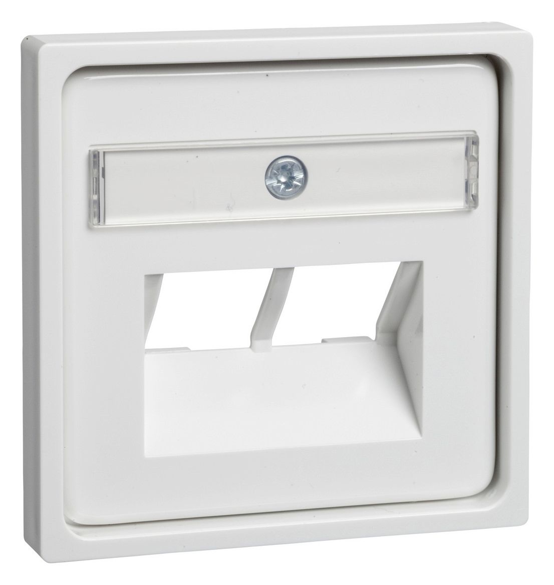 Elso 366514 Zentralplatte für 2xRJ45mit Reinweiß