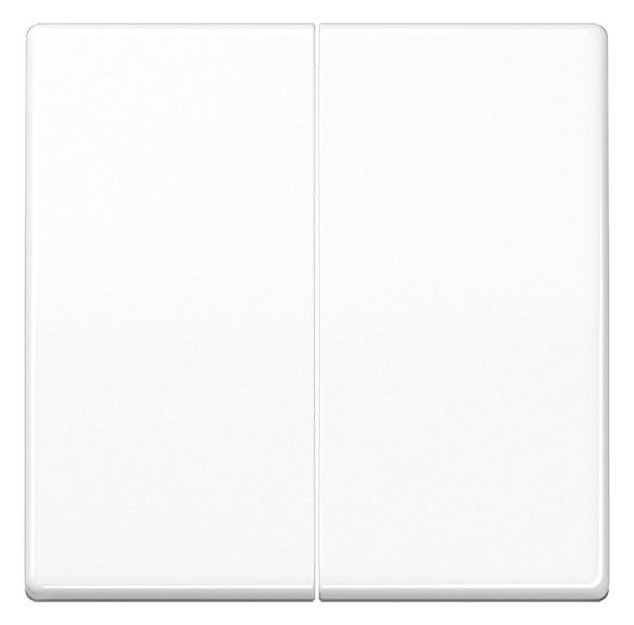 Jung AS1702WW Steuertaste 2-fa