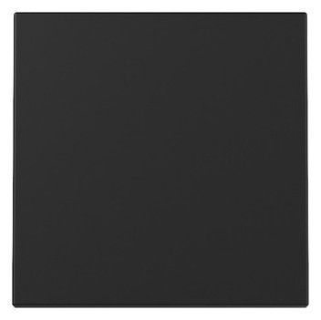 GIRA 3296005 Wippe System 55 Schwarz matt (lackiert)