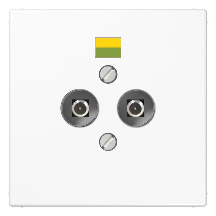 Jung LS965-2WW Potenzialausgleich Steckdose m.Tragring alpinweiß