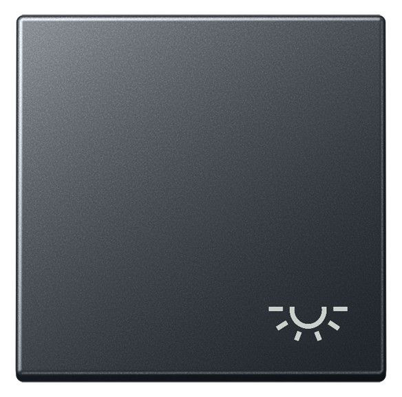 Jung A590BFLANM Wippe Symbol Licht bruchsicher Serie A anthrazit matt