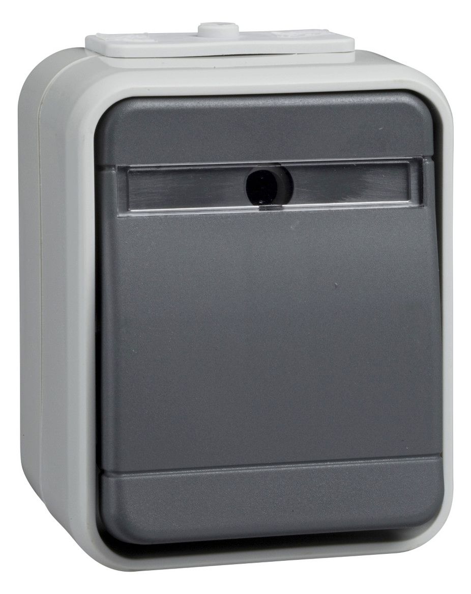 Elso 442129 Taster mit Schriftfeld 10A basaltgrau