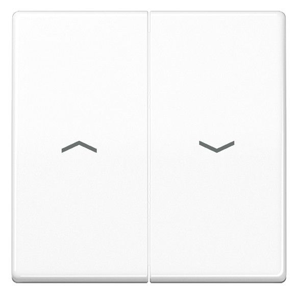 Jung AS591-5PWW Wippe m.Symbolen Auf/Ab f.509VU/539VU Serie AS alpinweiß