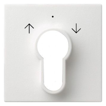 GIRA 066403 Abdeckung Schlüsselschalter /-taster System 55 Reinweiß glänzend