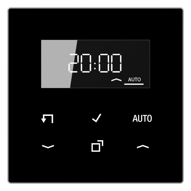 Jung LS1750DSW Timer Standard m.Display