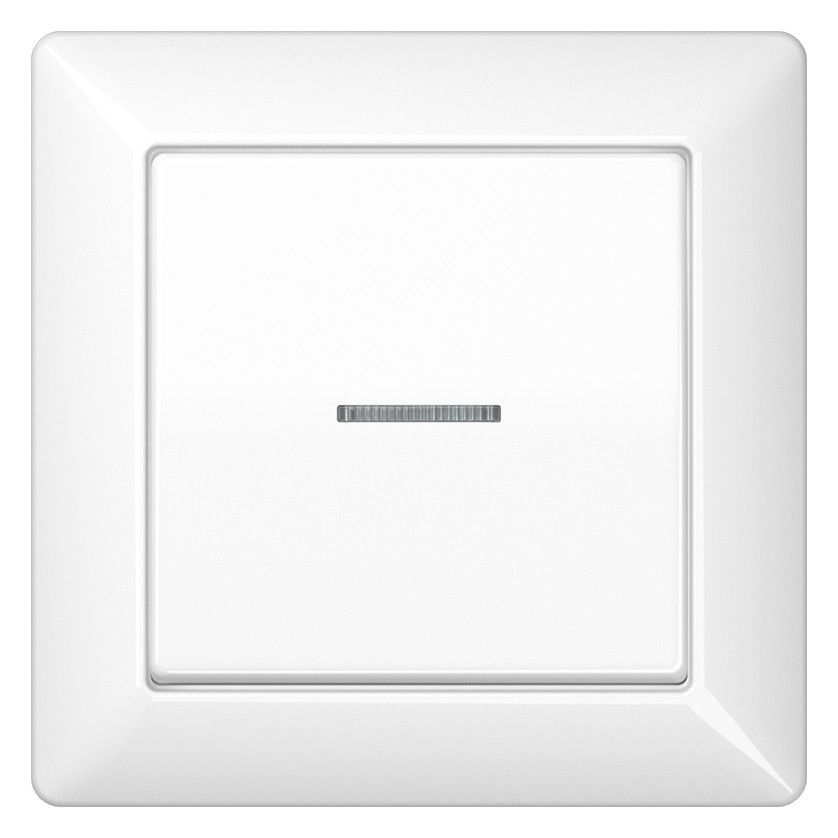 Jung AS590KO5WW Abdeckung volle Platte Lichtleiter Serie AS alpinweiß