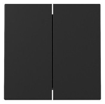 GIRA 3295005 Wippe 2fach System 55 Schwarz matt (lackiert)