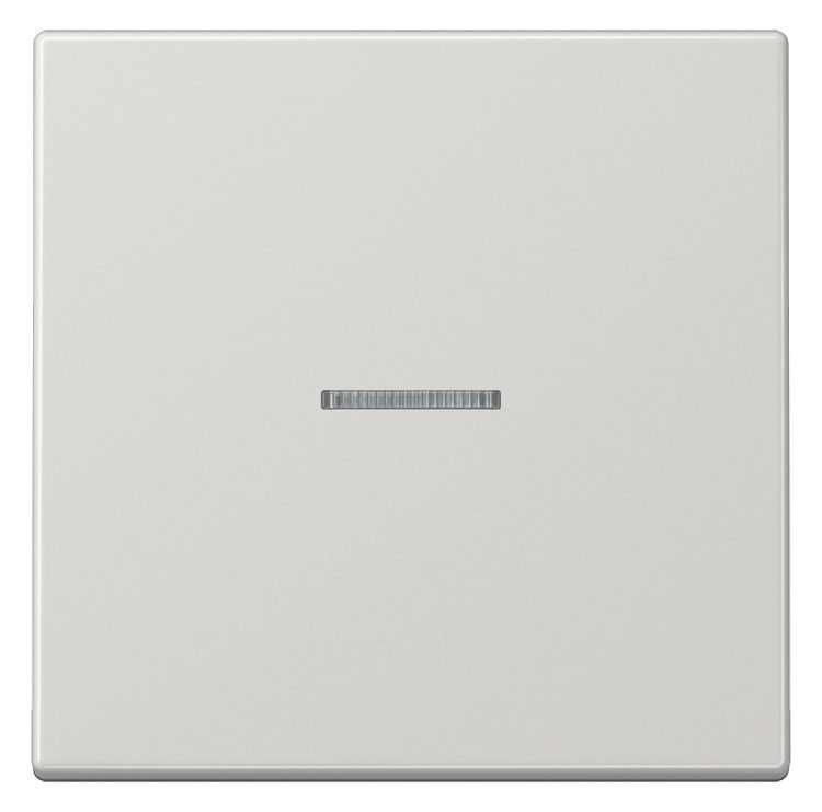 Jung LS990KO5LG Wippe Lichtleiter lichtgrau