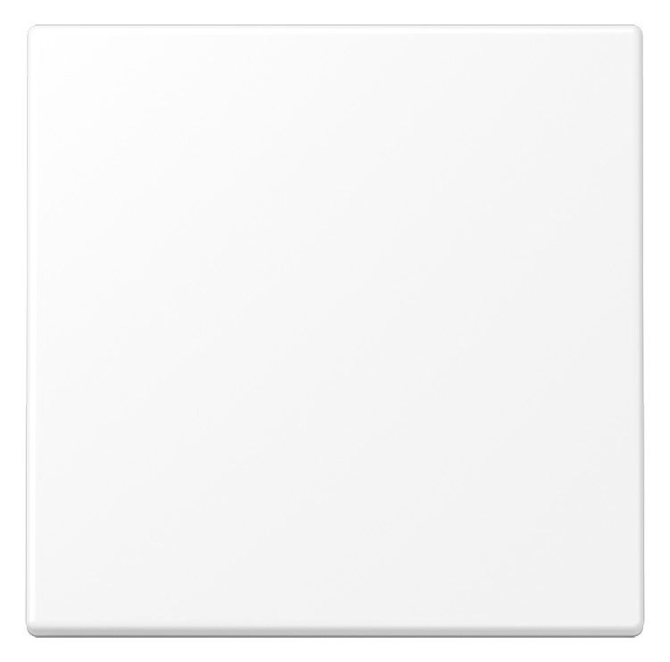 Jung LS990WWM Wippe f.Schalter/Taster