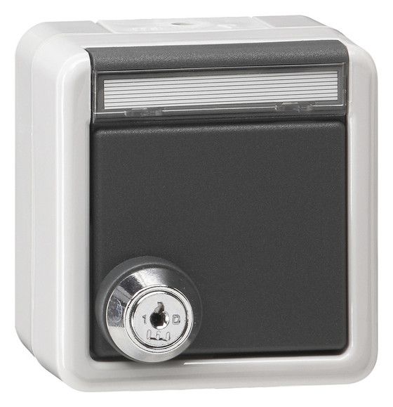GIRA 456930 SCHUKO-Steckdose Klappdeckel Schloss gleich+BSF WG AP IP44 Grau