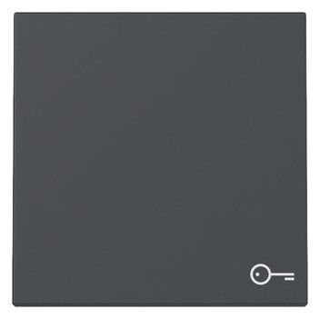 GIRA 328728 Wippe Symbol Tür System 55 Anthrazit