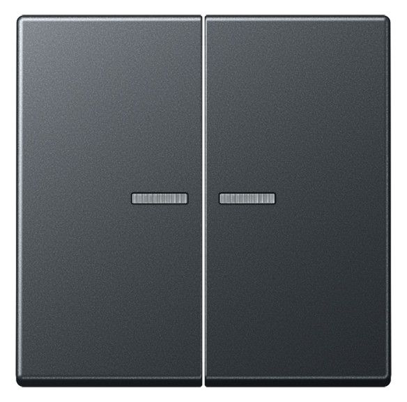 Jung A595BFKO5ANM Wippe Serienschalter m.Lichtleiter Serie A anthrazit matt