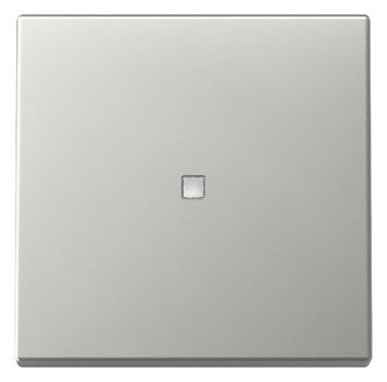 GIRA 3290600 Wippe Kontrollfenster System 55 Edelstahl