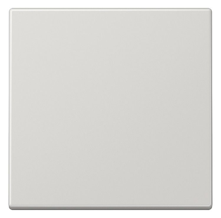 Jung LS990LG Wippe lichtgrau