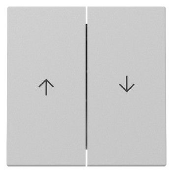 GIRA 3294015 Wippe 2fach Pfeil System 55 Grau matt