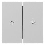 GIRA 3294015 Wippe 2fach Pfeil System 55 Grau matt