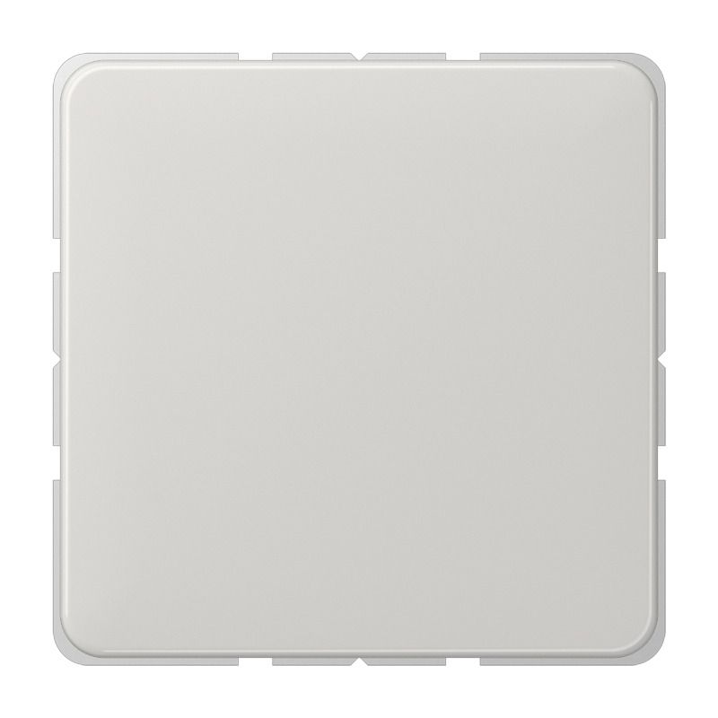 Jung CD594-0LG Blind-Abdeckung m.Tragring verrastet lichtgrau