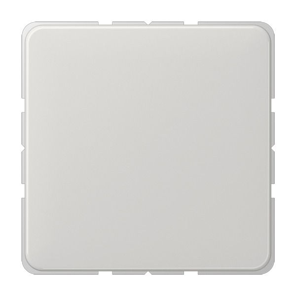 Jung CD594-0LG Blind-Abdeckung m.Tragring verrastet lichtgrau
