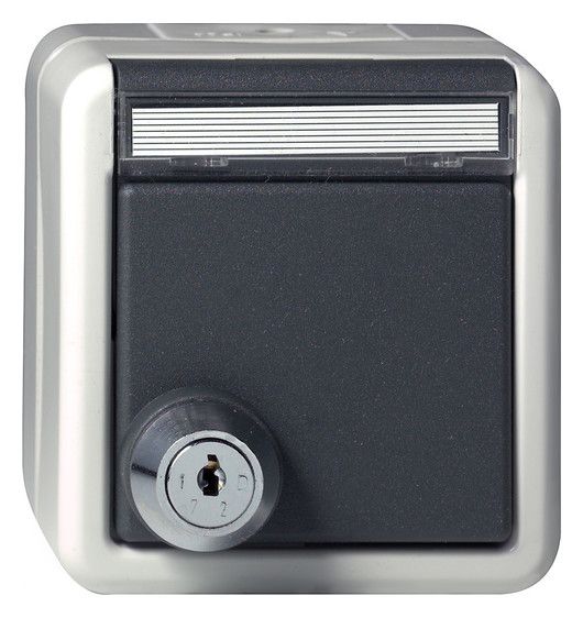 GIRA 456730 SCHUKO-Steckdose Klappdeckel Schloss sortiert+BSF WG AP IP44 Grau